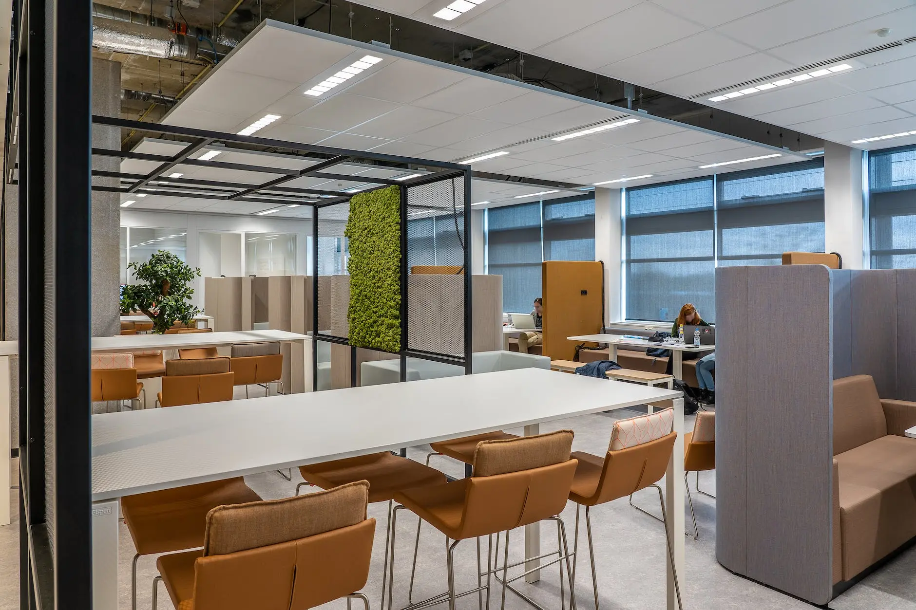 Image of an open space office